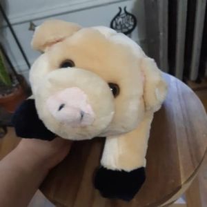CROSS SOLD: FAO Schwartz Plush Pig Doll -